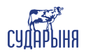 Сударыня